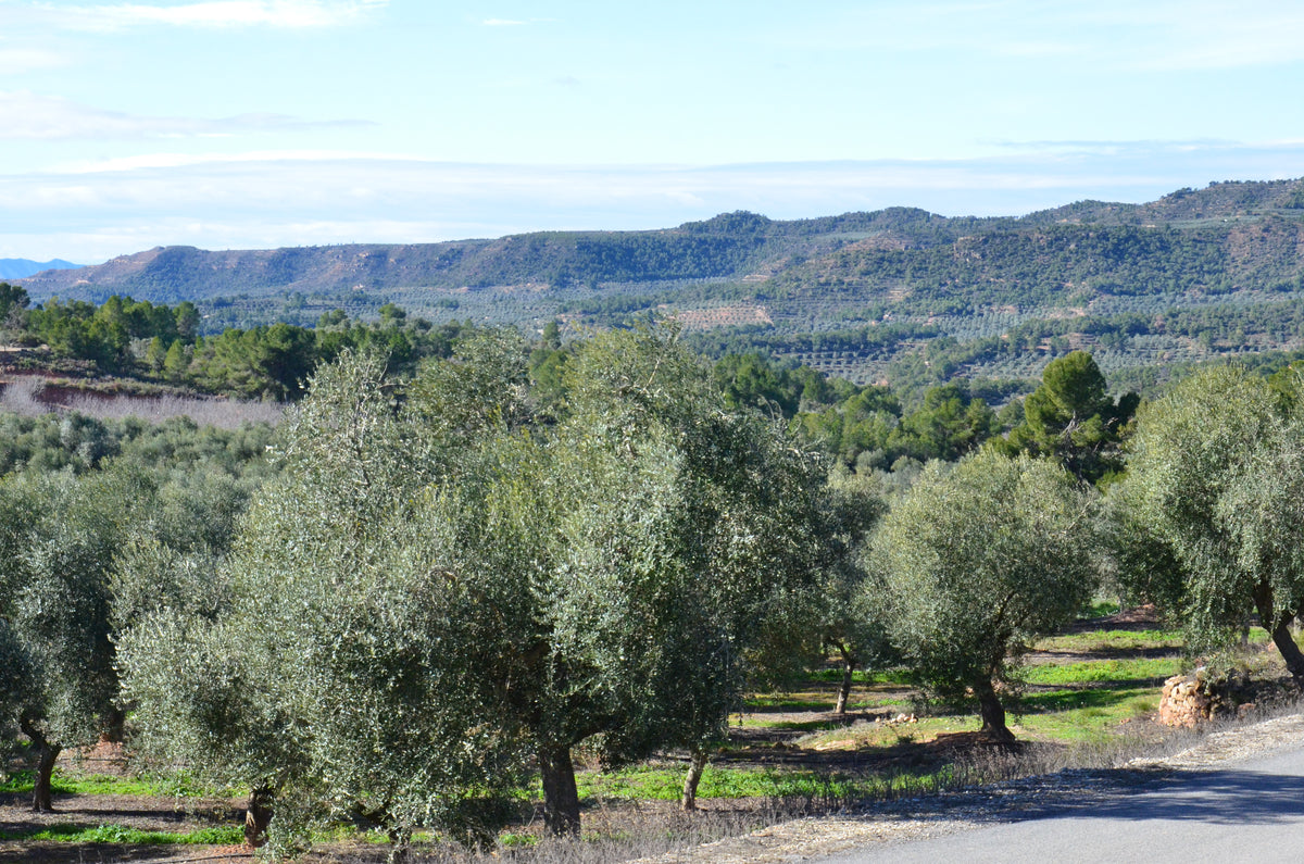 LES GARRIGUES, LLEIDA
