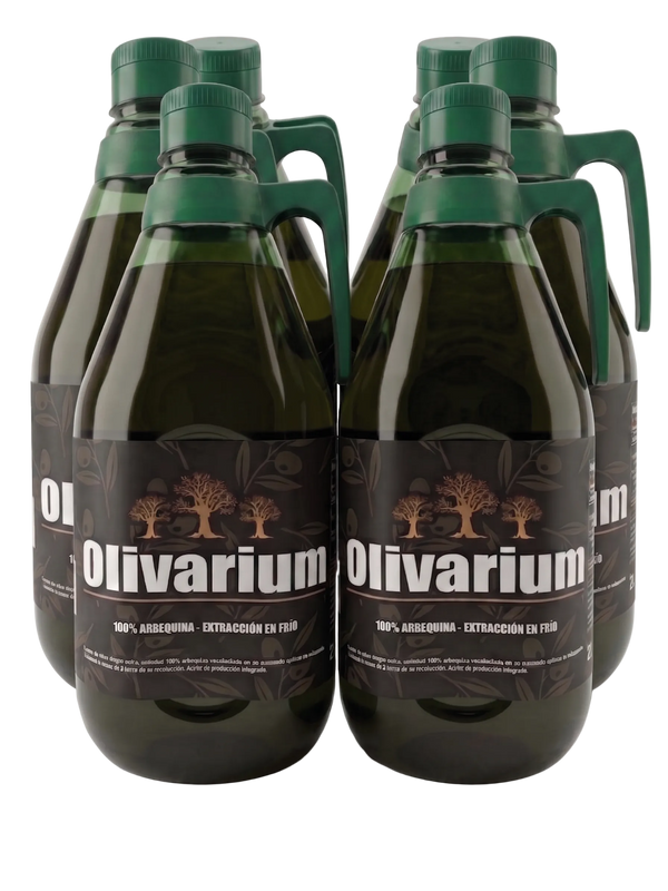 Pack 6 garrafas 2L